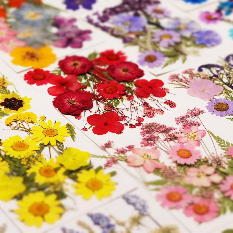 Resin Craft Ideas - Prawdziwe naturalne suszone kwiaty roślin do